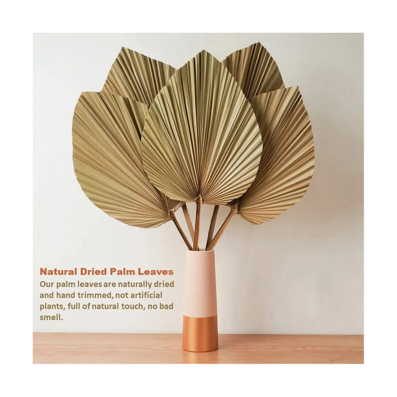 BohoPalm Naturals: 4-Piece Dried Palm Leaf Decor Set