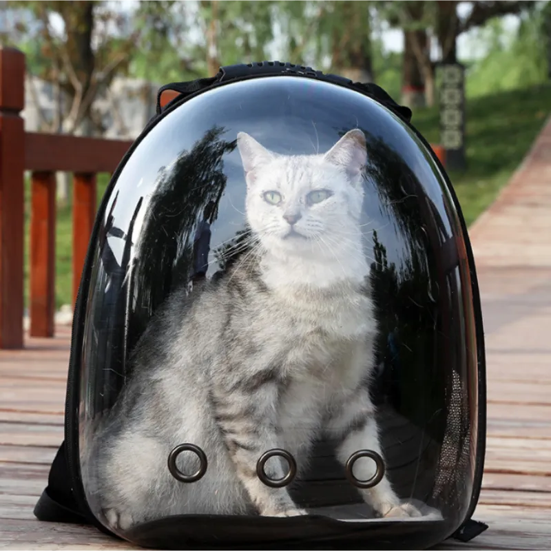 CatVenture Pro: Portable Transparent Space Capsule Cat Backpacks and Supplies