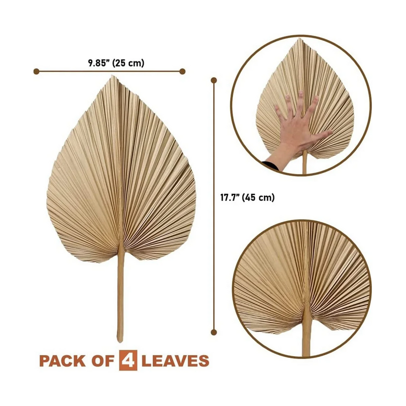 BohoPalm Naturals: 4-Piece Dried Palm Leaf Decor Set